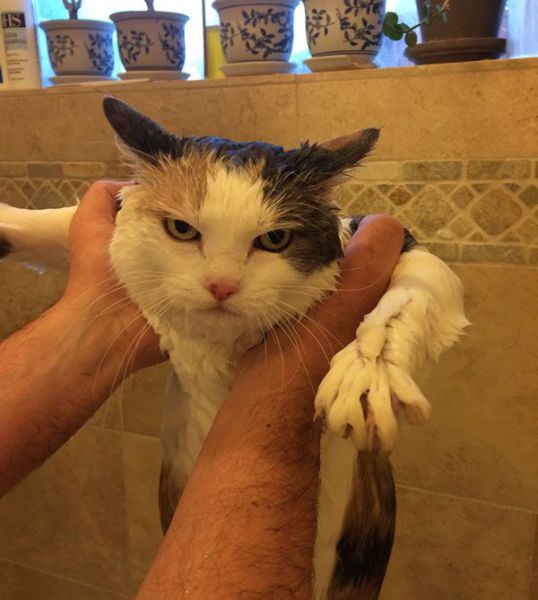 page,25,top 1500 daily pics of the year 2015.html - 1 HD Photos | Premium Gallery 2015