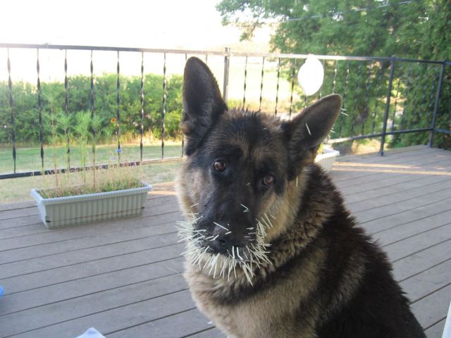 page,18,top 1500 daily pics of the year 2015.html - 1 HD Photos | Premium Gallery 2015