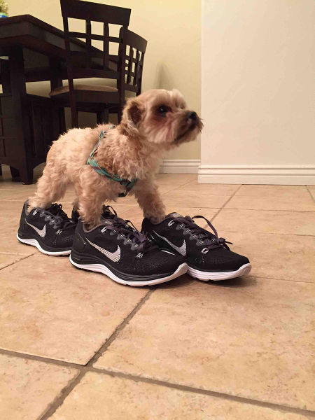 morning picdump 55 pics 9.html - 55 HD Photos | Premium Gallery 2015