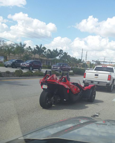 morning picdump 55 pics 9.html - 55 HD Photos | Premium Gallery 2015