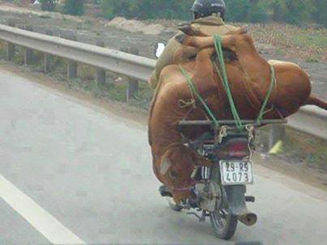 morning picdump 52 pics 9.html - 52 HD Photos | Premium Gallery 2015