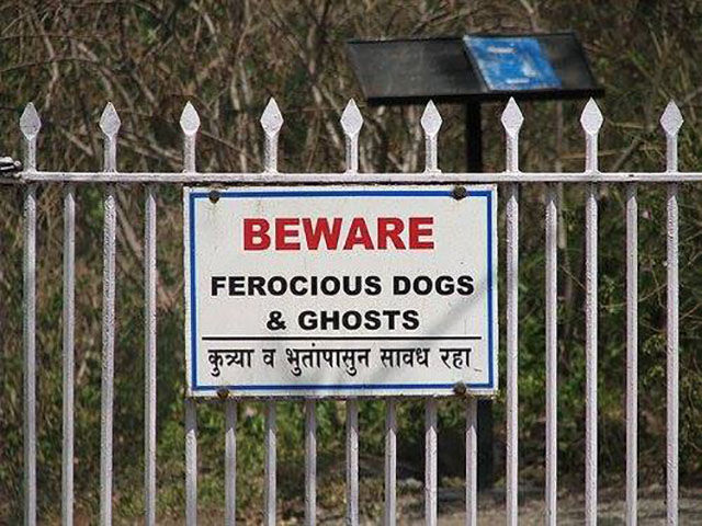 morning picdump 52 pics 9.html - 52 HD Photos | Premium Gallery 2015