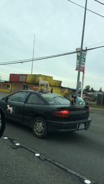 morning picdump 52 pics 9.html - 52 HD Photos | Premium Gallery 2015