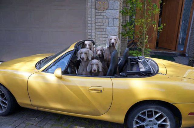 morning picdump 52 pics 9.html - 52 HD Photos | Premium Gallery 2015