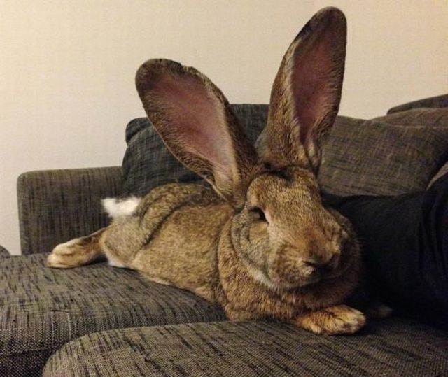 page,35,top 1500 daily pics of the year 2015.html - 1 HD Photos | Premium Gallery 2015