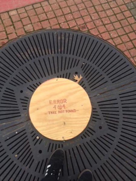 morning picdump 54 pics 2.html - 54 HD Photos | Premium Gallery 2015