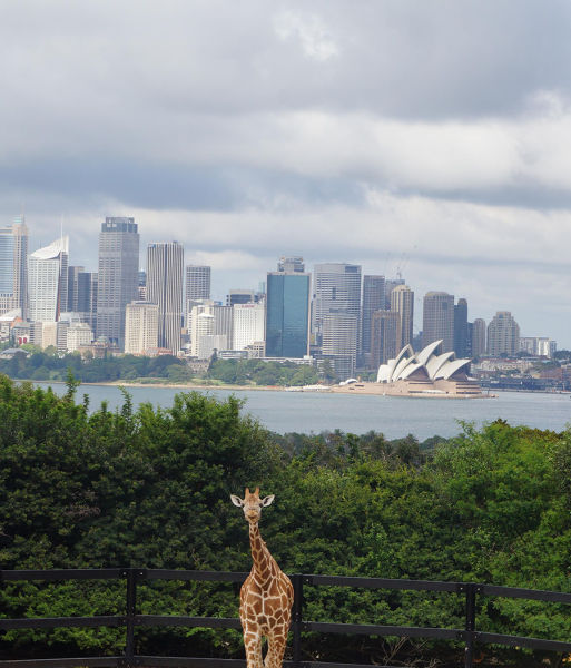 morning picdump 54 pics 2.html - 54 HD Photos | Premium Gallery 2015