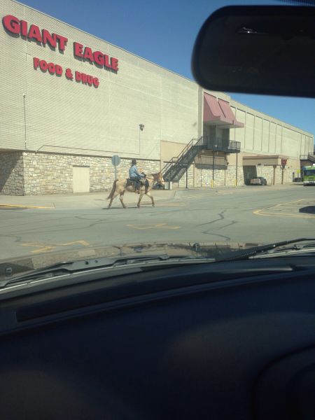 morning picdump 53 pics 14.html - 53 HD Photos | Premium Gallery 2015