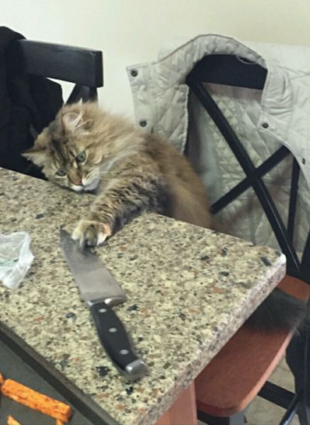 morning picdump 53 pics 14.html - 53 HD Photos | Premium Gallery 2015