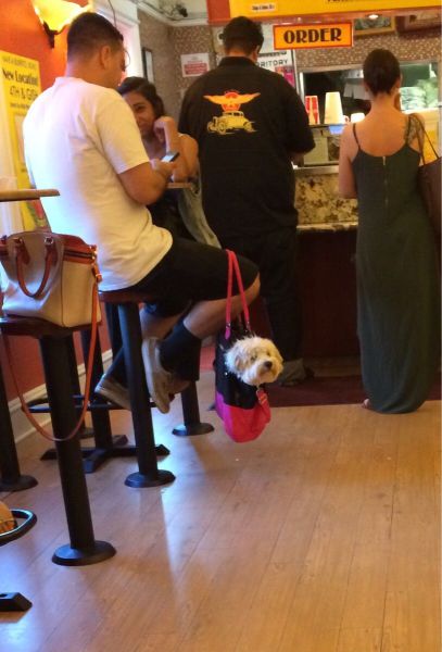 daily picdump 106 pics 36.html - 106 HD Photos | Premium Gallery 2015