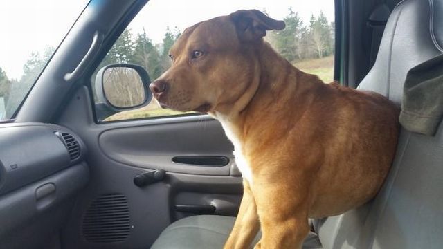 daily picdump 106 pics 36.html - 106 HD Photos | Premium Gallery 2015