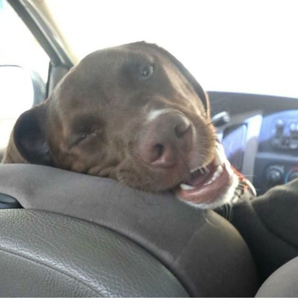 daily picdump 106 pics 36.html - 106 HD Photos | Premium Gallery 2015