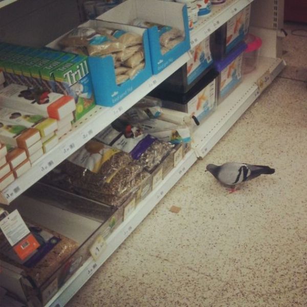 daily picdump 106 pics 36.html - 106 HD Photos | Premium Gallery 2015