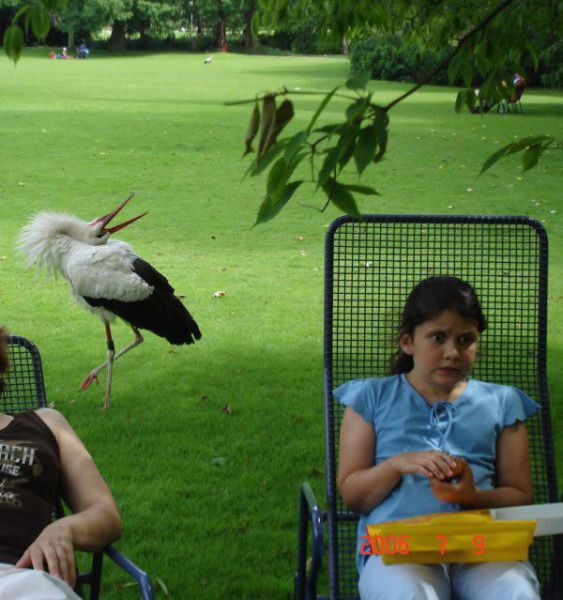 daily picdump 106 pics 36.html - 106 HD Photos | Premium Gallery 2015