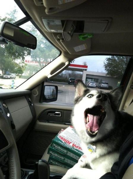 daily picdump 106 pics 36.html - 106 HD Photos | Premium Gallery 2015