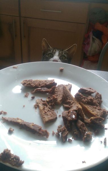 daily picdump 106 pics 36.html - 106 HD Photos | Premium Gallery 2015