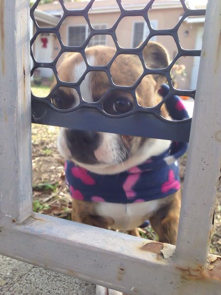 daily picdump 106 pics 36.html - 106 HD Photos | Premium Gallery 2015