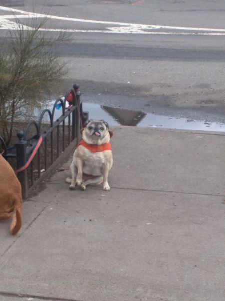 daily picdump 106 pics 36.html - 106 HD Photos | Premium Gallery 2015