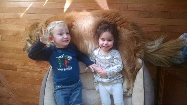 daily picdump 106 pics 36.html - 106 HD Photos | Premium Gallery 2015