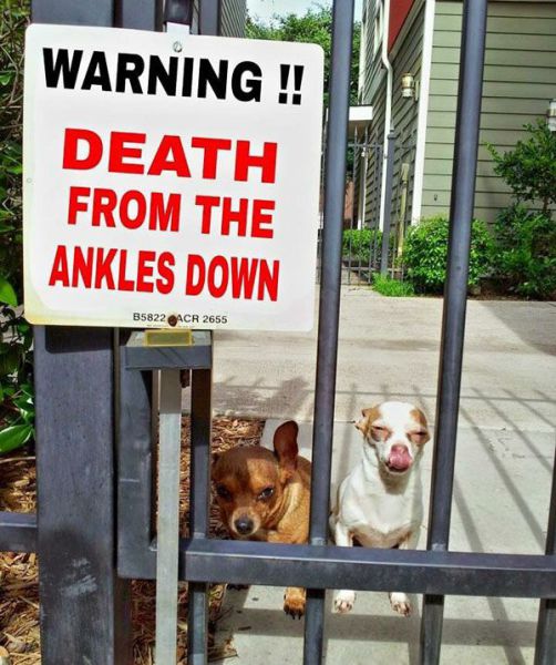 daily picdump 106 pics 36.html - 106 HD Photos | Premium Gallery 2015