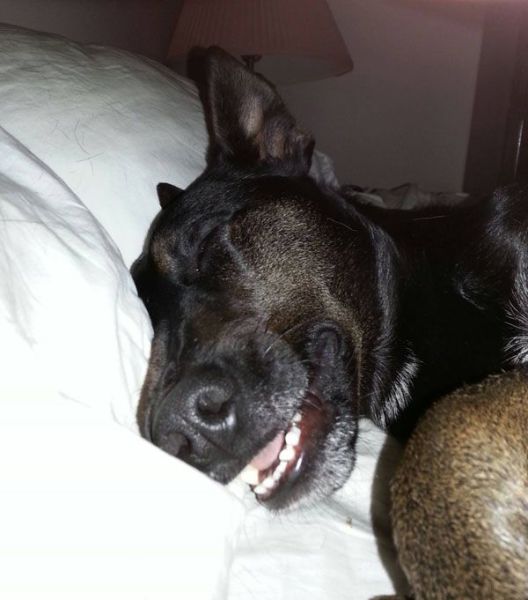 daily picdump 106 pics 36.html - 106 HD Photos | Premium Gallery 2015