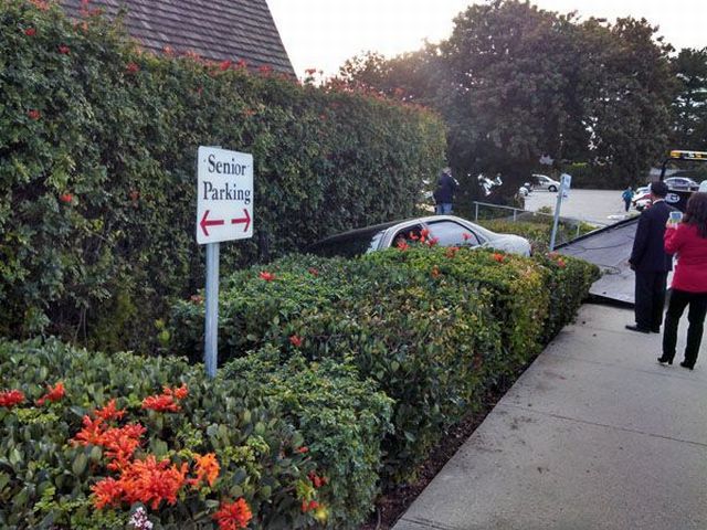 daily picdump 106 pics 36.html - 106 HD Photos | Premium Gallery 2015