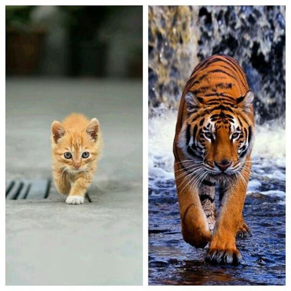 morning picdump 55 pics 4.html - 55 HD Photos | Premium Gallery 2015