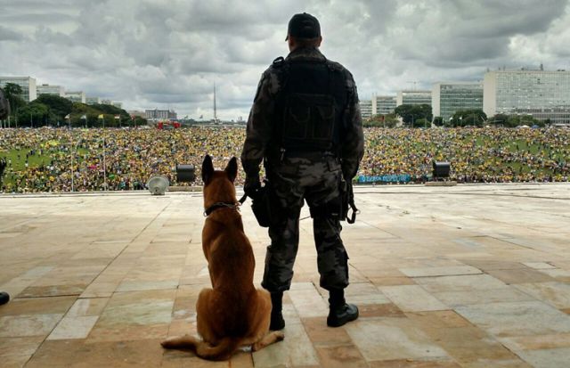 morning picdump 55 pics 4.html - 55 HD Photos | Premium Gallery 2015