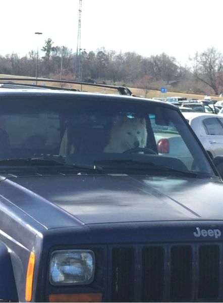 morning picdump 55 pics 4.html - 55 HD Photos | Premium Gallery 2015