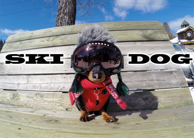 daily picdump 97 pics 1.html - 97 HD Photos | Premium Gallery 2015