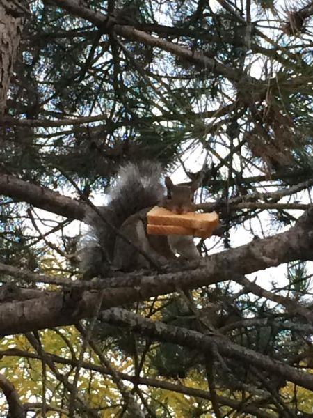 daily picdump 97 pics 1.html - 97 HD Photos | Premium Gallery 2015