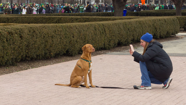 morning picdump 57 pics 2.html - 57 HD Photos | Premium Gallery 2015