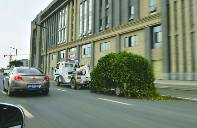 morning picdump 57 pics 2.html - 57 HD Photos | Premium Gallery 2015