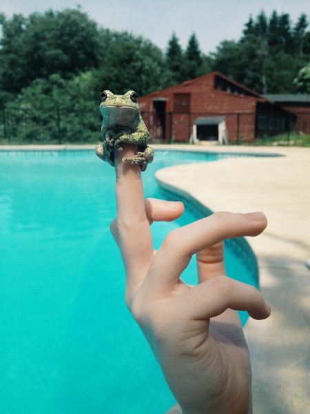 morning picdump 57 pics 2.html - 57 HD Photos | Premium Gallery 2015