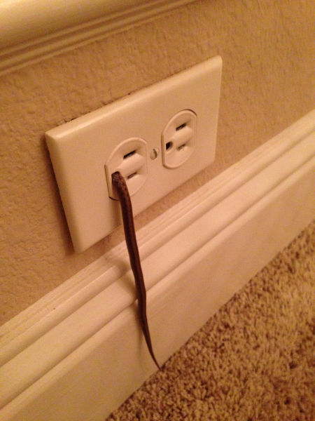 morning picdump 57 pics 2.html - 57 HD Photos | Premium Gallery 2015