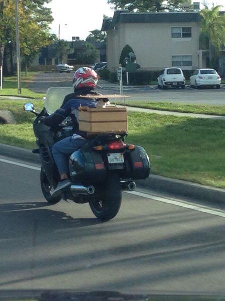 morning picdump 57 pics 2.html - 57 HD Photos | Premium Gallery 2015