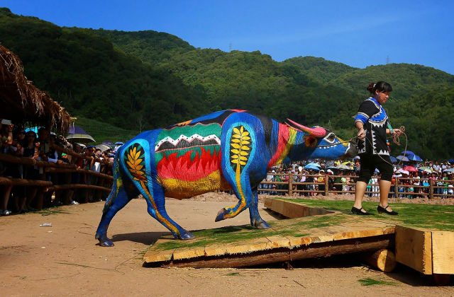 morning picdump 54 pics 3.html - 54 HD Photos | Premium Gallery 2015