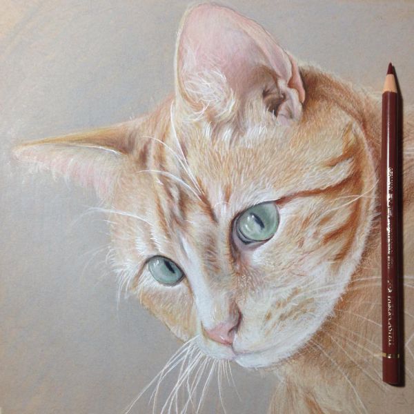 morning picdump 54 pics 3.html - 54 HD Photos | Premium Gallery 2015