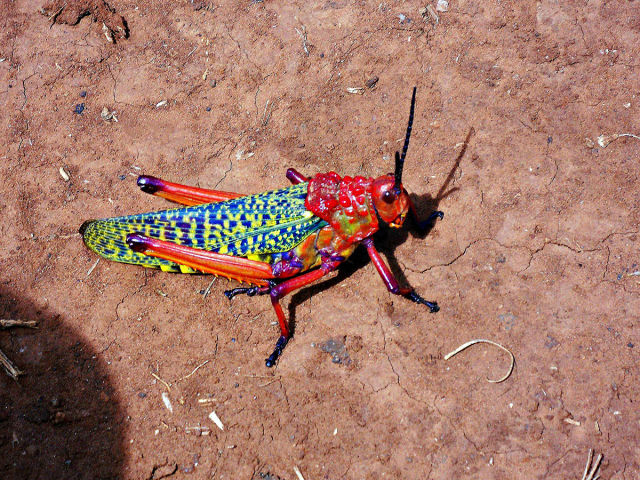 morning picdump 54 pics 3.html - 54 HD Photos | Premium Gallery 2015