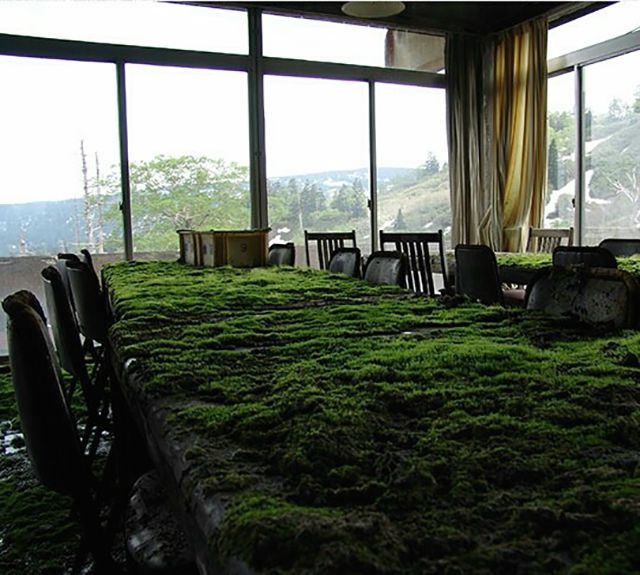 morning picdump 54 pics 3.html - 54 HD Photos | Premium Gallery 2015