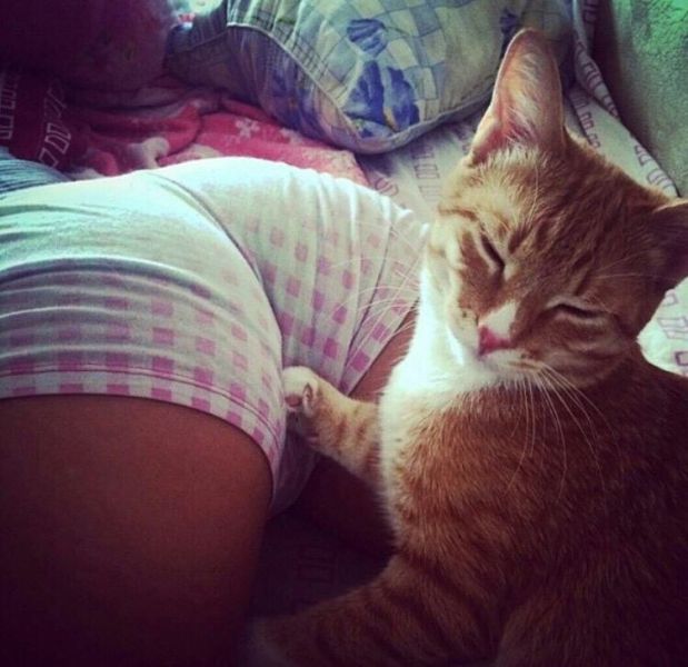 morning picdump 52 pics 2.html - 52 HD Photos | Premium Gallery 2015