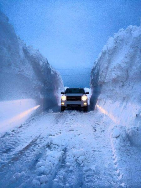 morning picdump 52 pics 2.html - 52 HD Photos | Premium Gallery 2015