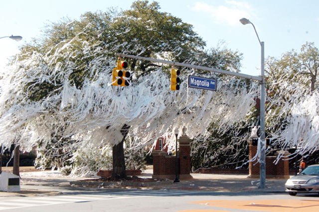 morning picdump 52 pics 2.html - 52 HD Photos | Premium Gallery 2015