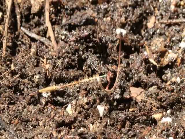 page,31,top 500 videos of the year 2015.html - 1 HD Video | Premium Gallery 2015