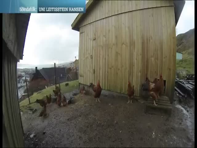 page,22,top 500 videos of the year 2015.html - 1 HD Video | Premium Gallery 2015