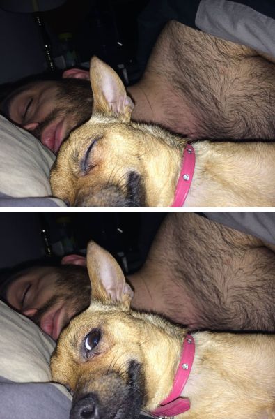 daily picdump 93 pics 10.html - 93 HD Photos | Premium Gallery 2015