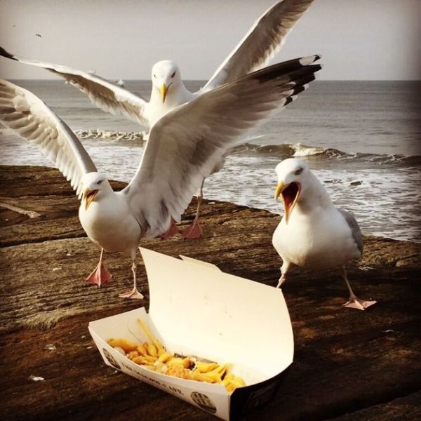 daily picdump 93 pics 10.html - 93 HD Photos | Premium Gallery 2015