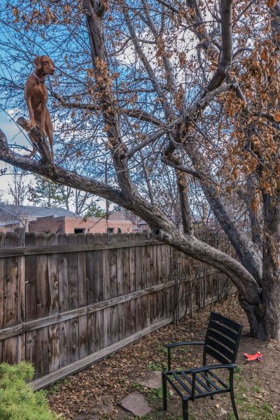 daily picdump 93 pics 10.html - 93 HD Photos | Premium Gallery 2015