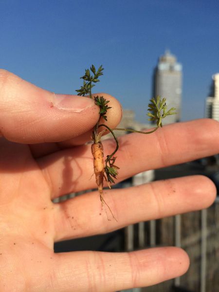 daily picdump 93 pics 10.html - 93 HD Photos | Premium Gallery 2015