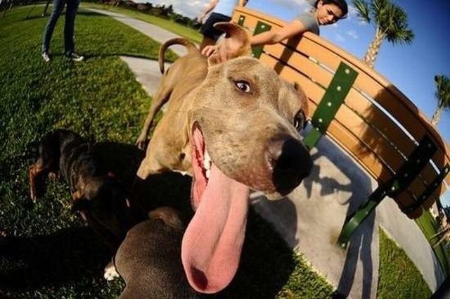 daily picdump 93 pics 10.html - 93 HD Photos | Premium Gallery 2015